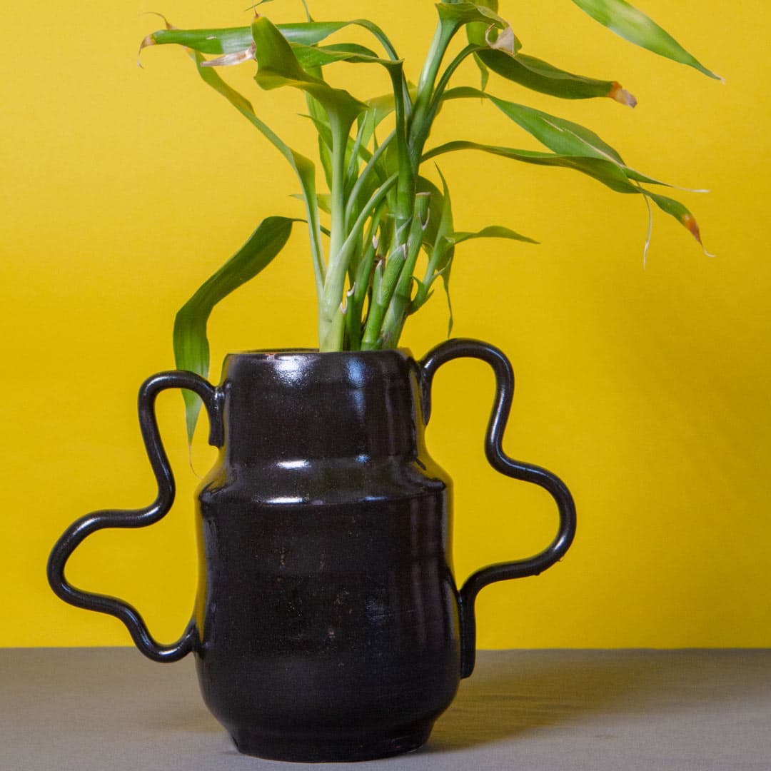 Black Vases