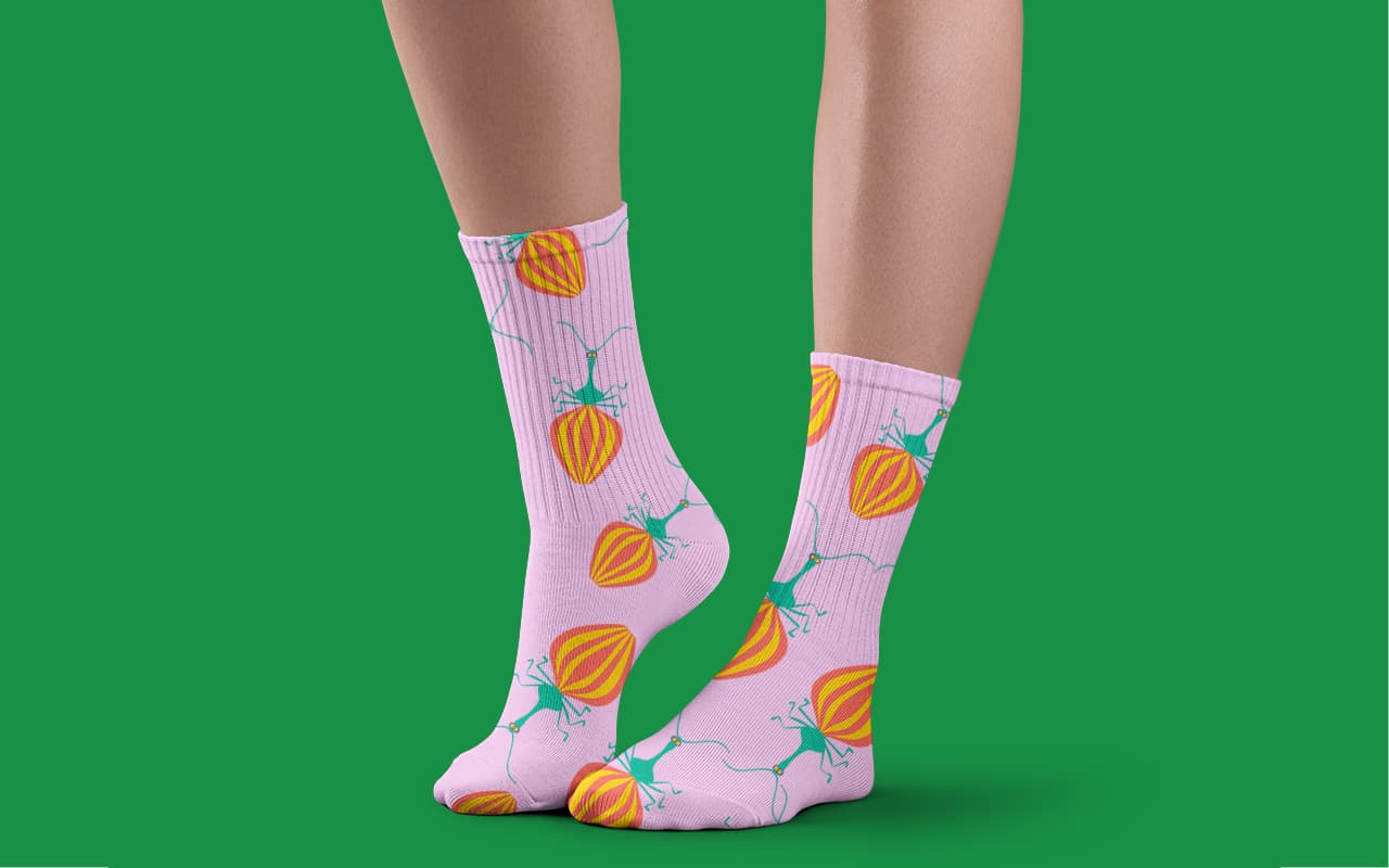 View mock of Long-socks mock image Long-socks mock image